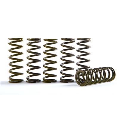 Hinson Clutch Springs 250/350SX-F 16- 25 - Koppling - D376220 - 1