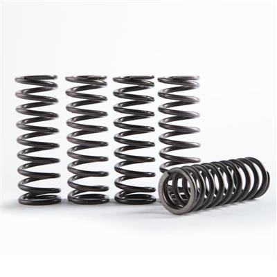 Hinson Clutch Springs CRF250R 18- - Koppling - D376210 - 1