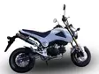 GPR Honda Msx - Grom 125 2013/17 Racing - Komplett avgassystem - D406701 - 4