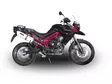 GPR Triumph Tiger 800 2011/16 e3 EC-Appr - Ljuddämpare - D412191 - 8
