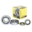 ProX Crankshaft Bearing & Seal Kit KDX20 - Vevpartier och Tillbehör - D17111 - 1