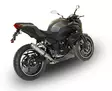 GPR Kawasaki Z 300 2014/16 e3 EC-Approv. - Ljuddämpare - D411112 - 5