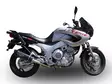 GPR Yamaha Tdm 850 1991/01 Pair EC-Appro - Ljuddämpare - D406492 - 9