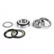 ProX Steering Bearing Kit ATC200X '83-87 - Styrlager - D17262 - 1