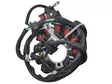 TMV stator Honda CRF250R 2020-2021 - Stator - D519752 - 1