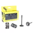ProX Steel Exhaust Valve/Spring Kit KX45 - Topplock - D17663 - 1