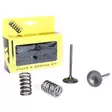 ProX Steel Intake Valve/Spring Kit CRF45 - Topplock - D17673 - 1