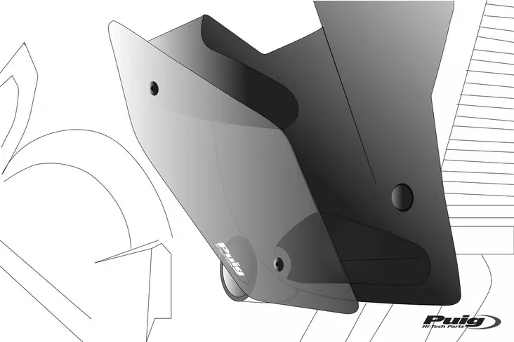 Puig Downforce Naked Side Spoilers Kawas - Vindskydd - D437823 - 1