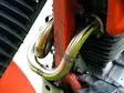 GPR Honda Dominator Nx 650 1988/01 Decat - Komplett avgassystem - D406664 - 2