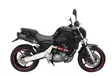 GPR Yamaha Mt-03 660 2006/13 Pair EC-App - Ljuddämpare - D405934 - 11