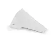 Puig R-Racer Screen Ducati Panigale V4 R - Vindskydd - D341454 - 1