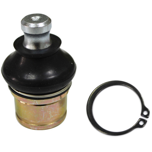 Bronco Kulled Arctic Cat - Kulleder - D58274 - 1