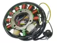 Bronco Stator Polaris - Statorer - D478625 - 1