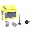 ProX Steel Intake Valve/Spring Kit KX250 - Topplock - D17685 - 1