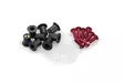 Puig Screw Kit whit silentblocks C/Red - Vindskyddsfästen och delar - D87955 - 1