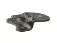 Bronco Motor dyna Can Am - Motordynor - D494005 - 1