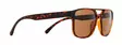 Spect Red Bull Elroy Sunglasses Shiny Ha - Solglasögon - D502595 - 2