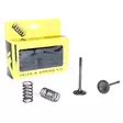 ProX Steel Exhaust Valve/Spring Kit YZ/W - Topplock - D17656 - 1