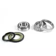 ProX Steering Bearing Kit CB600F '87-06 - Styrlager - D17256 - 1