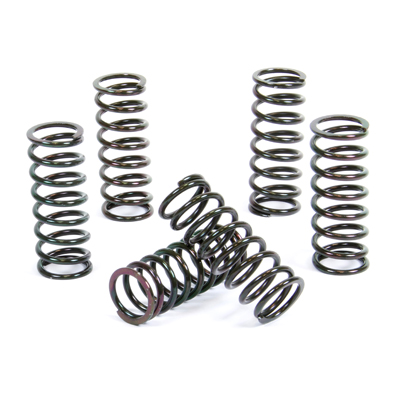 ProX Clutch Spring Kit DR-Z400 '00-22 + - Koppling - D16896 - 1