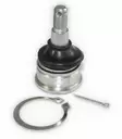 EPI Kulled undre Honda - Kulleder - D58827 - 1