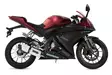 GPR Yamaha Yzf-R 125 i.e. 2017/2018 e4 E - Komplett avgassystem - D407177 - 4