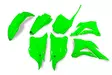 UFO Plastkit 5-delar Flou grön KX85 14-2 - Plastkit - D118157 - 1