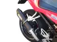 GPR Honda Cbf 600 S i.e. 2007/12 EC-Appr - Ljuddämpare - D410588 - 11