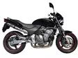 GPR Honda Hornet Cb 600 F 1998/02 EC-App - Ljuddämpare - D410848 - 3