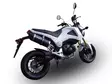 GPR Honda Msx - Grom 125 2013/17 EC-Appr - Komplett avgassystem - D406698 - 11