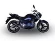 GPR Suzuki Gw 250 F Inazuma2012/17 Pair - Ljuddämpare - D406418 - 9