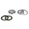 Cylinderfotpackning ATHENA KXF250 04-08 - Övriga tätningar - D21169 - 1