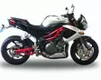 GPR Benelli Tnt 1130 2008/16 EC-Approv. - Ljuddämpare - D408689 - 6