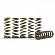 Hinson Clutch Springs CRF450R (7/8PLATE) - Koppling - D168889 - 1