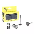 ProX Steel Exhaust Valve/Spring Kit RM-Z - Topplock - D17659 - 1