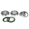 ProX Steering Bearing Kit 1000 Daytona ' - Styrlager - D72239 - 1
