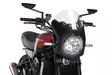 Puig Semifairing C/Carbon Look Kawasaki - Kåpor & Vingar Street - D186579 - 1