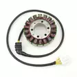 Stator Honda CBR1100XX 99-03 - Stator - D1829 - 1
