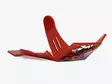 AXP Xtrem HDPE Skid Plate Red Gas-Gas MC - Hasplåtar - D442309 - 1