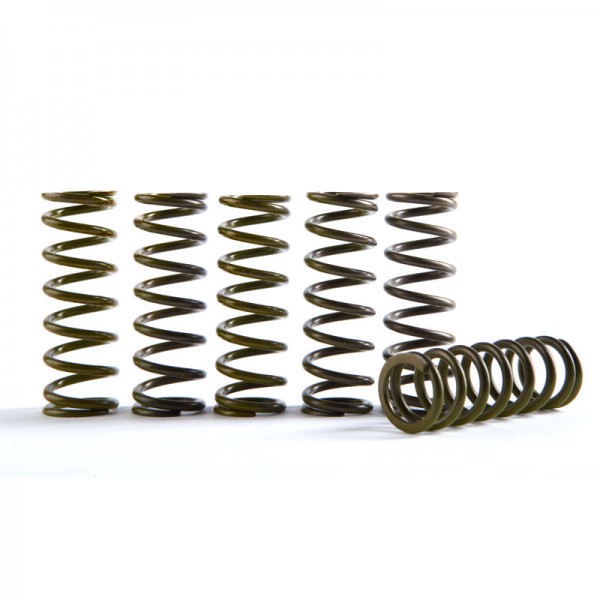 Hinson Clutch Springs CRF450R (7/8PLATE) - Koppling - D168889 - 1